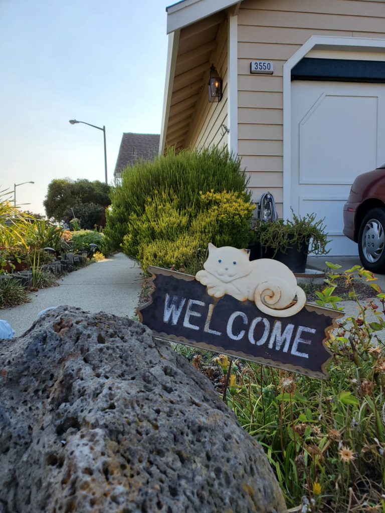 Bay Farm, Alameda